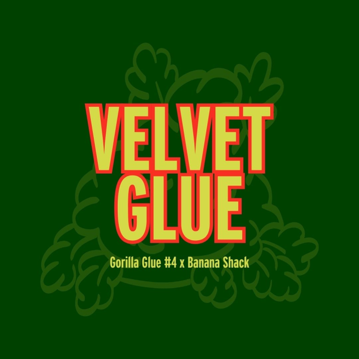 Velvet Glue